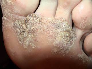 k-h9.1.06-1 k-h9.1.06-1